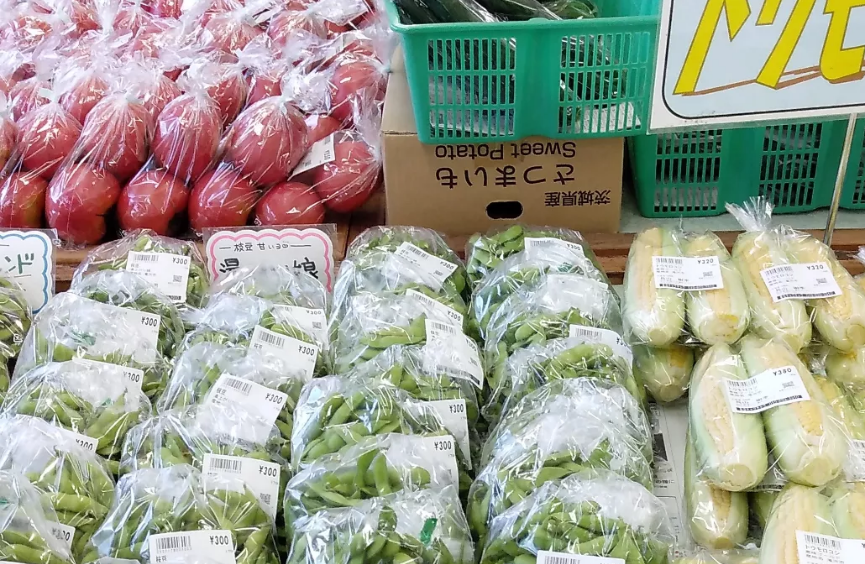 夏〜秋の新鮮野菜